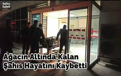 Ağacın altında kalan şahıs hayatını kaybetti