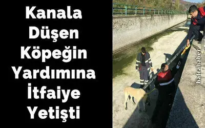 Kanala Düşen Köpeğin Yardımına İtfaiye Yetişti