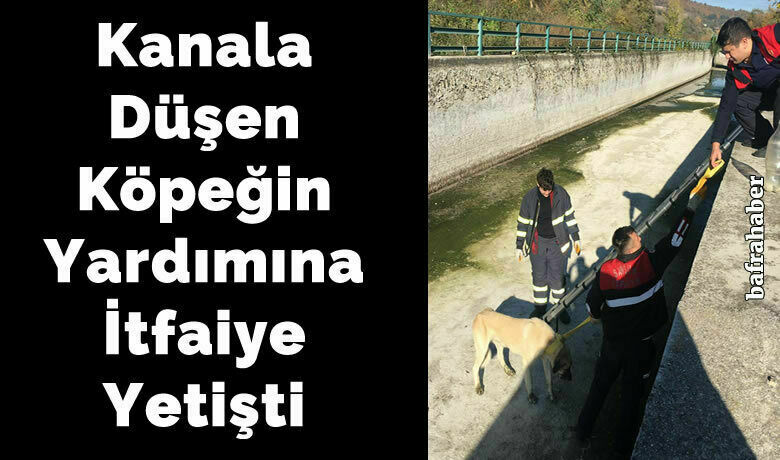 Kanala Düşen Köpeğin Yardımına İtfaiye Yetişti