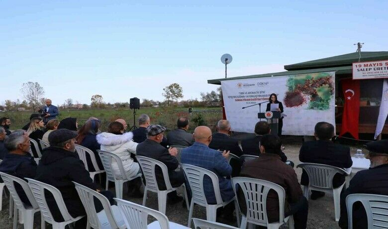 Karadeniz’in ilk ‘sumak’bahçeleri Samsun’da kurulacak - Doğadan toplanarak deri, boya, tıp, ilaç ve gıda endüstrisinde yaygın olarak kullanılan sumak bitkisi yetiştiriciliğini yaygınlaştırmayı hedefleyen Samsun Büyükşehir Belediyesi, Karadeniz Bölgesi’nin ilk kapama sumak bahçelerini kuruyor.