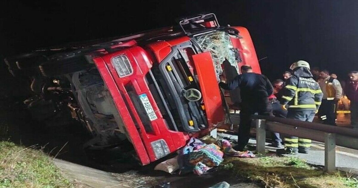 Tomruk yüklü kamyon devrildi: 1 yaralı
