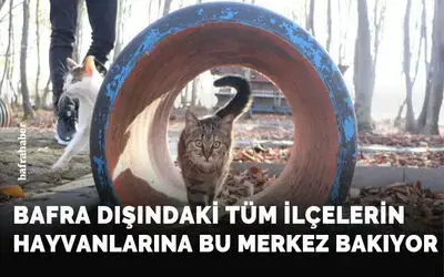Bafra dışındaki tüm ilçelerin hayvanlarına bu merkez bakıyor