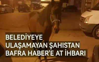 İpini Koparan At Emirefendi'de Göründü
