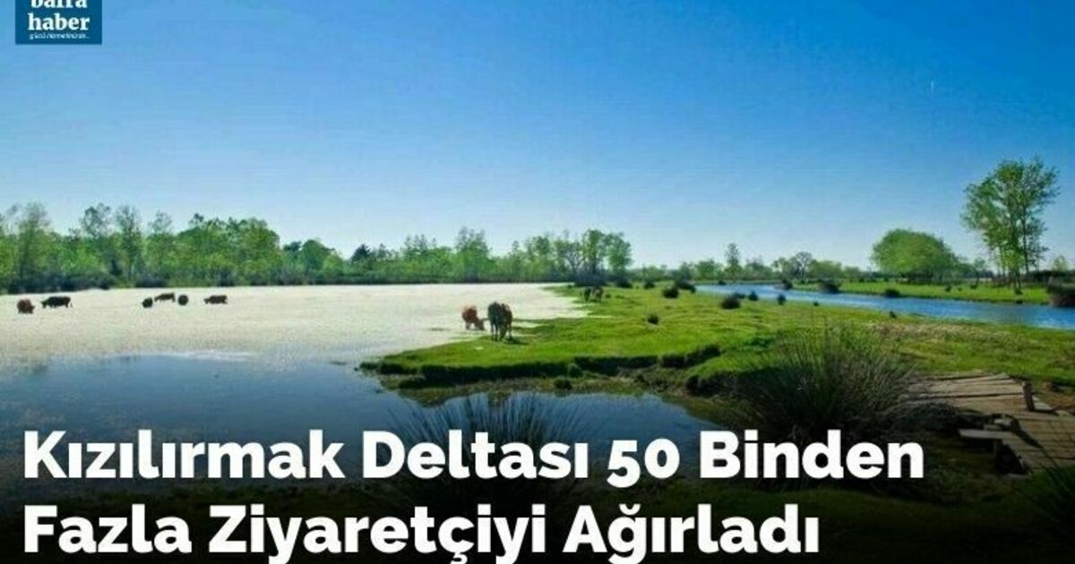 Kızılırmak Deltası 50 binden fazla ziyaretçiyi ağırladı