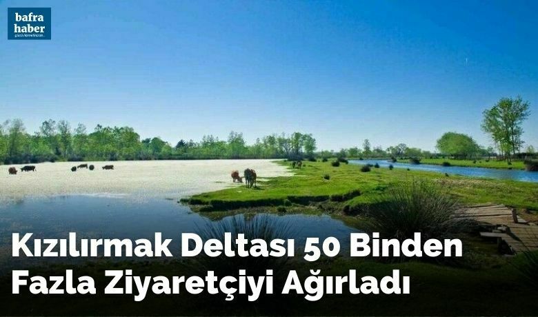 Kızılırmak Deltası 50binden fazla ziyaretçiyi ağırladı