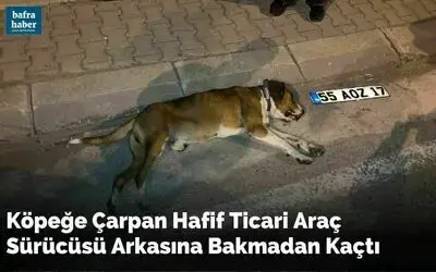 Köpeğe Çarpan Hafif Ticari Araç Sürücüsü Arkasına Bakmadan Kaçtı