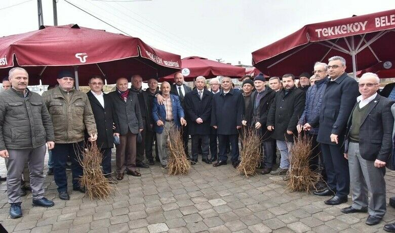 Çiftçilere 2 bin 500 kestane fidanı dağıtıldı
