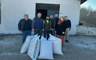 Samsun’da ‘çok yıllık yem bitkileri örnek ekim tarlaları’ kurulacak
