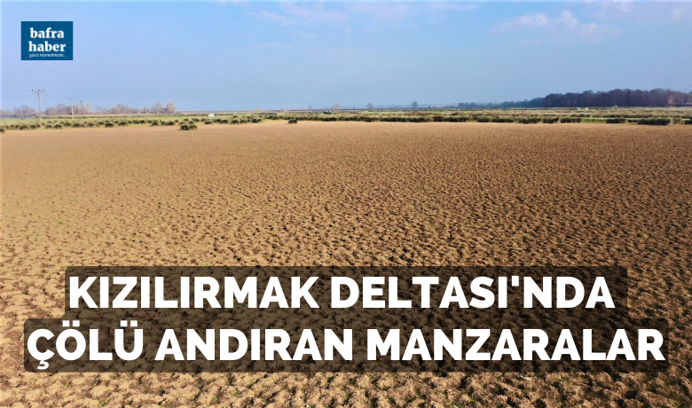 Kızılırmak Deltasında çölü andıran manzaralar