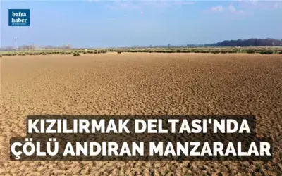 Kızılırmak Deltasında çölü andıran manzaralar