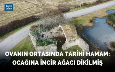Ovanın ortasında tarihi hamam: Ocağına incir ağacı dikilmiş