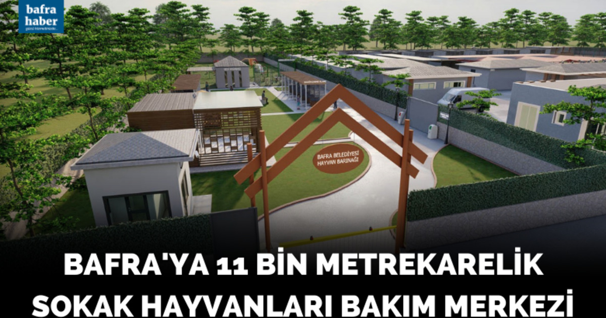 Bafra’ya 11 bin metrekarelik sokak hayvanları bakım merkezi