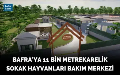 Bafra’ya 11 bin metrekarelik sokak hayvanları bakım merkezi