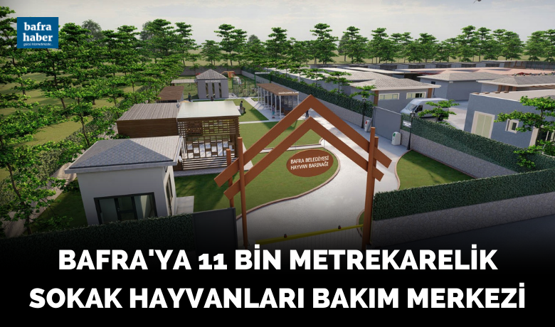 Bafra’ya 11 bin metrekareliksokak hayvanları bakım merkezi