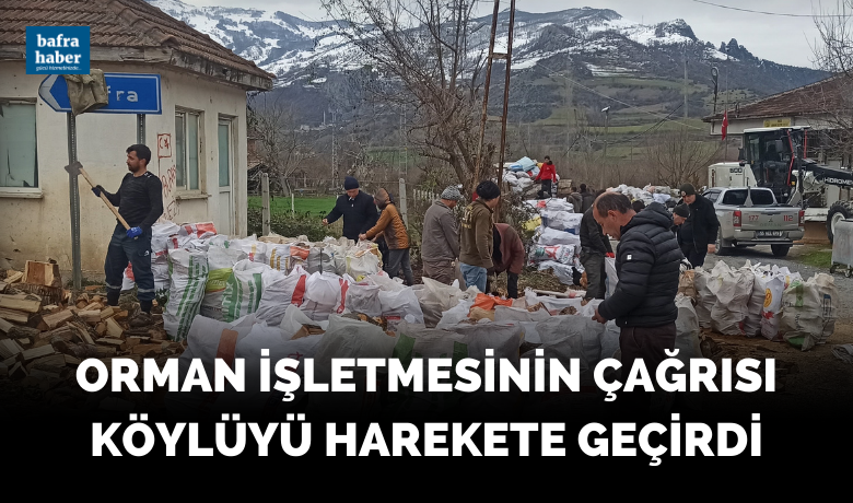 Orman İşletmesinin çağrısıköylüyü harekete geçirdi - Samsun’un Bafra ilçesinde vatandaşlar, Kahramanmaraş merkezli depremlerden etkilenen bölgelere odun göndermek için seferber oldu.