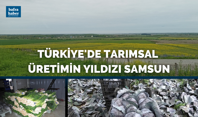 Türkiye’de tarımsal üretimin yıldızıSamsun: Birçok üründe ilk sırada