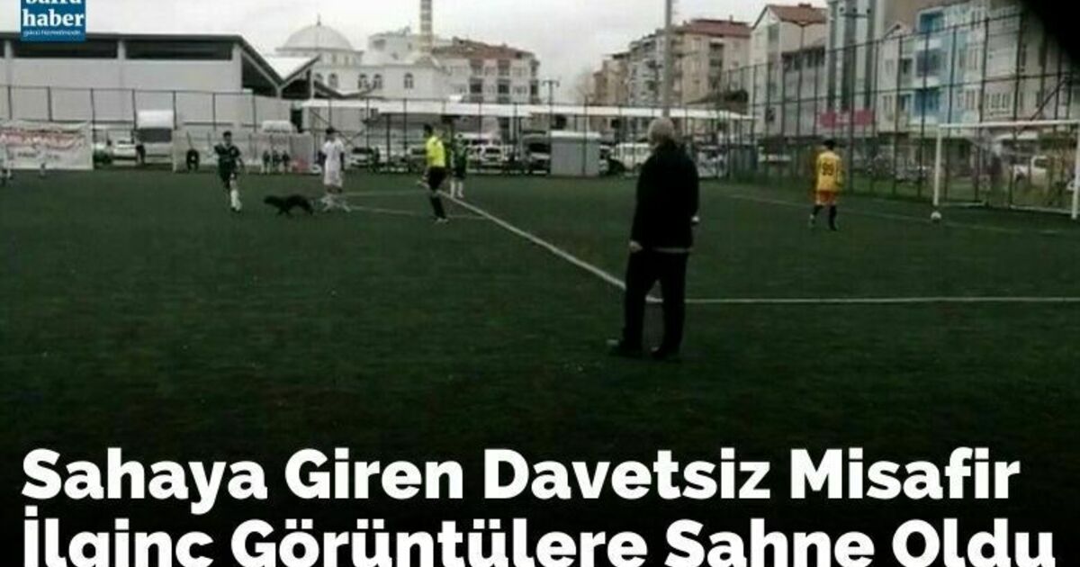 Sahaya giren davetsiz misafir ilginç görüntülere sahne oldu