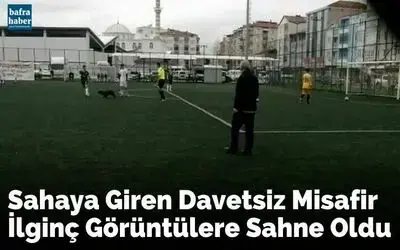 Sahaya giren davetsiz misafir ilginç görüntülere sahne oldu