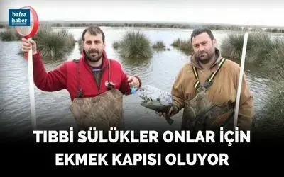 Tıbbi sülükler onlar için ekmek kapısı oluyor
