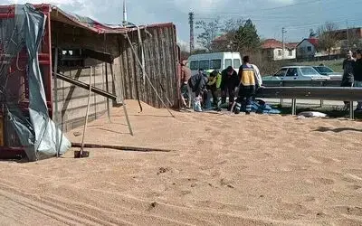 Buğday yüklü kamyon devrildi: 2 yaralı
