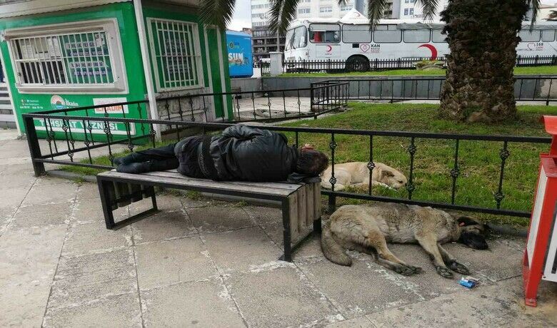 Bankta uyuyan ’Red Kit’iyanına yatan sokak köpekleri korudu - Samsun’da halk arasında "Red Kit" lakabıyla tanının bir kişi, bank üstünde uyuya kaldı. Uyuya kalan Red Kit’i yanına uzanan sokak köpekleri korudu.