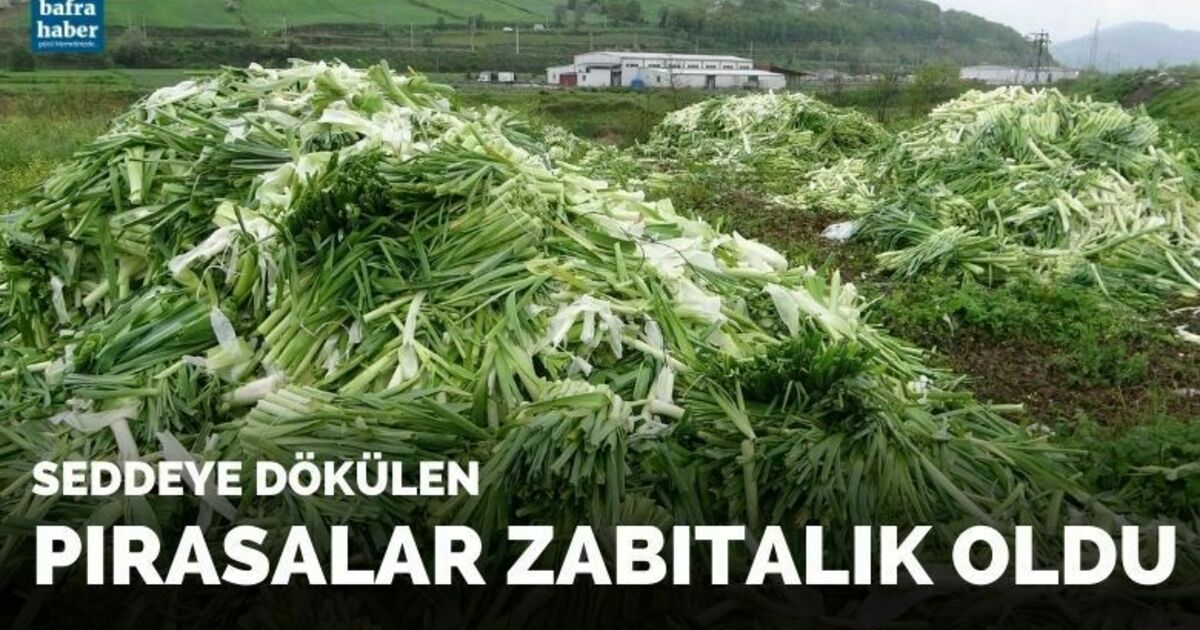 Seddeye dökülen pırasalar zabıtalık oldu
