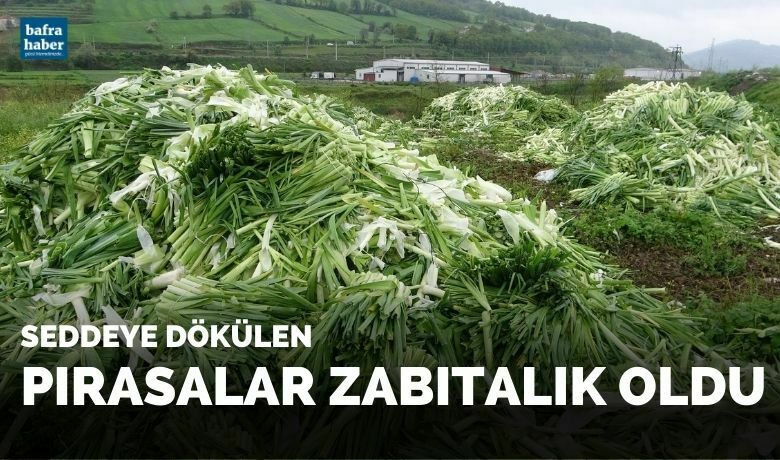 Üreticinin elinde kalan pırasalar boş alana atıldı