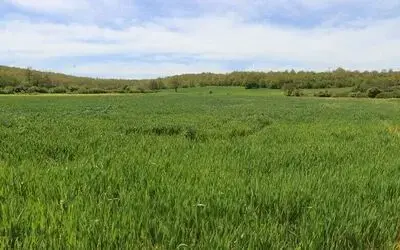 Tarım arazilerinde taban patlatmasının önemi
