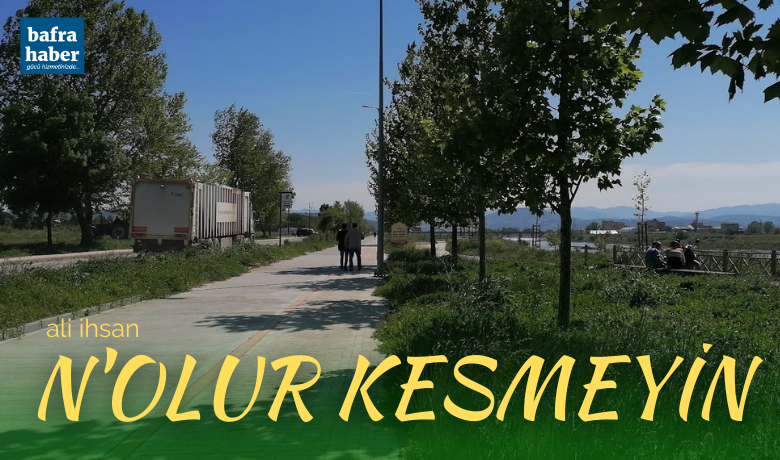 N’olur Kesmeyin!  - N’olur buralardaki otları kesmeyin! İroni değil, şaka hiç değil. 