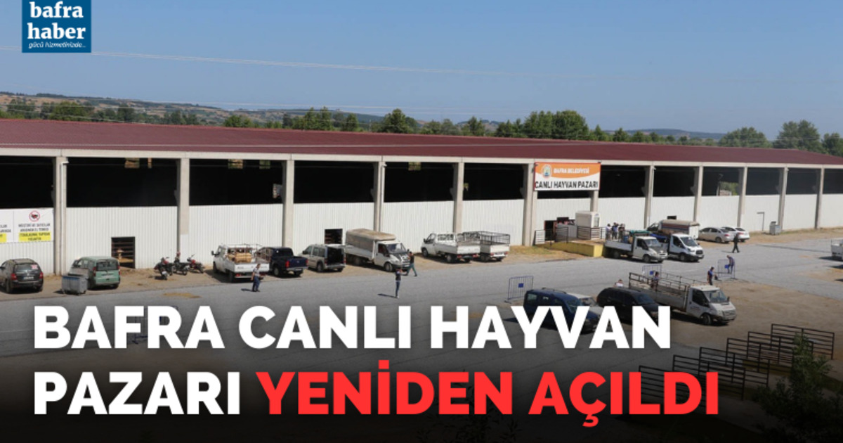 Bafra Canlı Hayvan Pazarı yeniden açıldı