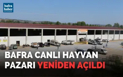Bafra Canlı Hayvan Pazarı yeniden açıldı