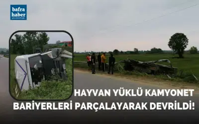 Hayvan Yüklü Kamyonet Bariyerleri Parçalayarak Devrildi!