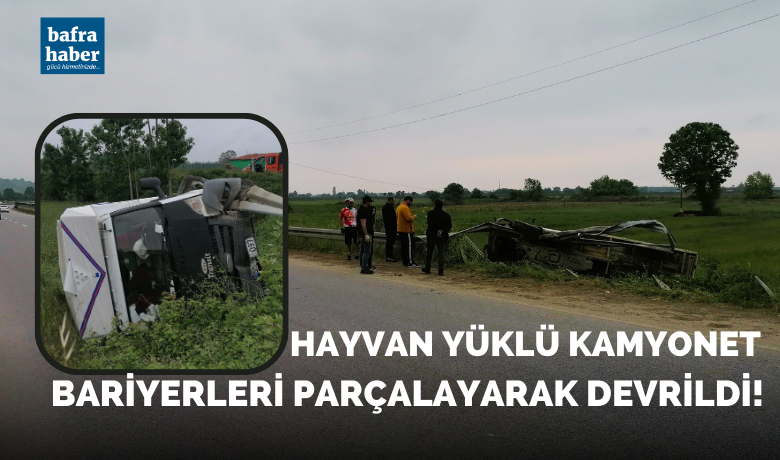 Hayvan Yüklü KamyonetBariyerleri Parçalayarak Devrildi!