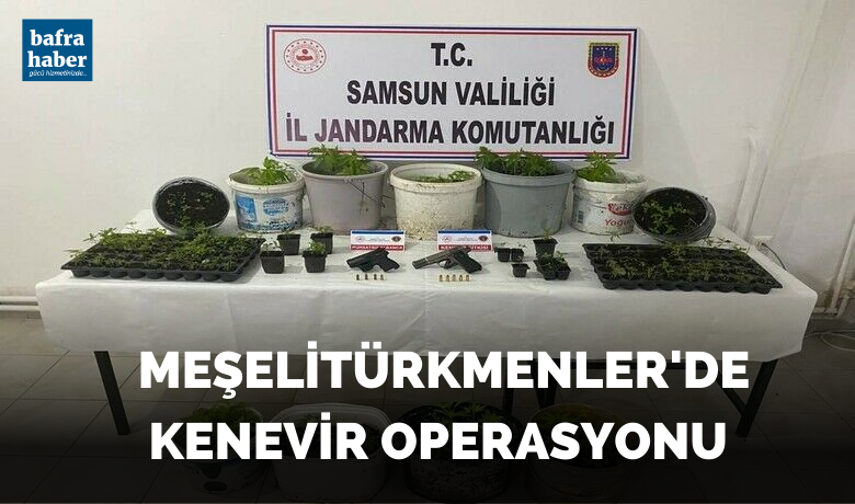 Bafra’da kenevir operasyonu - Samsun’un Bafra ilçesinde jandarma ekipleri tarafından düzenlenen operasyonda, 391 kök kenevir bitkisi ve 2 adet ruhsatsız tabanca ele geçirildi.