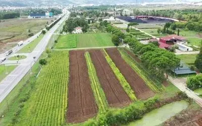 Samsun’da üretilen 134 türden 10 milyon fidan Türkiye’yi yeşillendiriyor