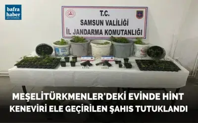 Evinde Hint Keneviri Ele Geçirilen Şahıs Tutuklandı