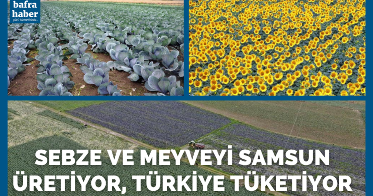 Sebze ve meyveyi Samsun üretiyor, Türkiye tüketiyor
