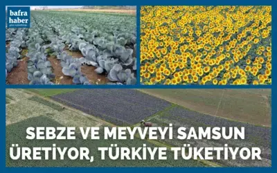 Sebze ve meyveyi Samsun üretiyor, Türkiye tüketiyor