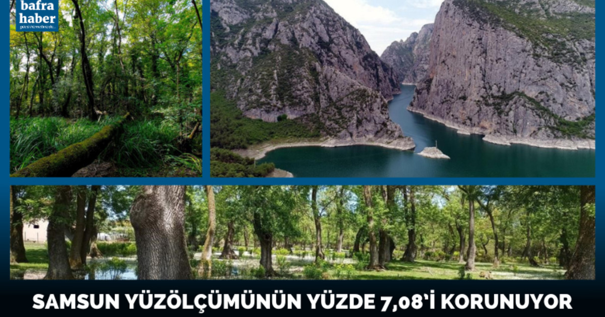 Samsun yüzölçümünün yüzde 7,08’i korunuyor
