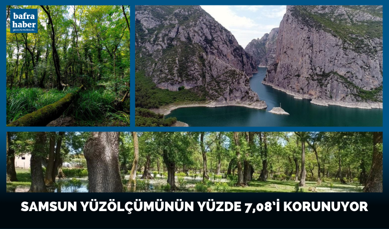 Samsun yüzölçümünün yüzde 7,08’i korunuyor
