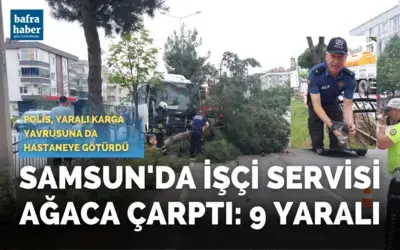 Samsun’da işçi servisi ağaca çarptı: 9 yaralı