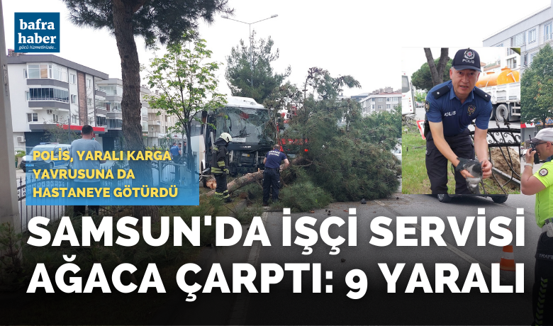 Samsun’da işçi servisi ağaca çarptı: 9 yaralı