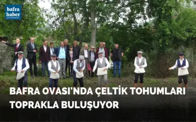 Bafra Ovası’nda çeltik tohumları toprakla buluşuyor