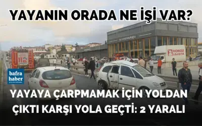 Yayaya Çarpmamak İçin Yoldan Çıktı Karşı Yola Geçti: 2 Yaralı