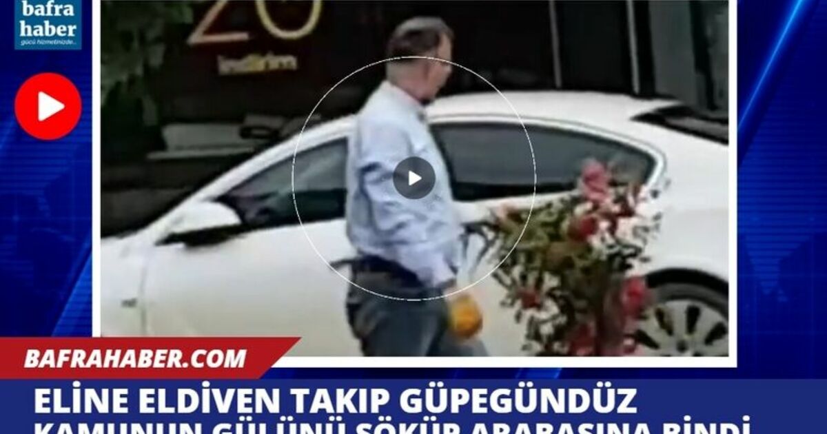 Eline eldiveni taktı, güpegündüz Refüjdeki Gülü Söküp Otomobili İle Uzaklaştı!