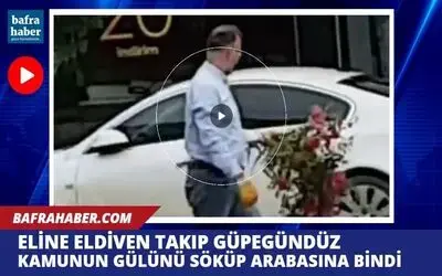 Eline eldiveni taktı, güpegündüz Refüjdeki Gülü Söküp Otomobili İle Uzaklaştı!