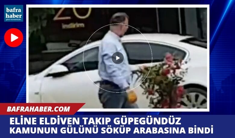 Eline eldiveni taktı, güpegündüz RefüjdekiGülü Söküp Otomobili İle Uzaklaştı!