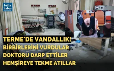 Terme'de Vandallık! Doktoru darp edip, hastaneyi birbirine kattılar