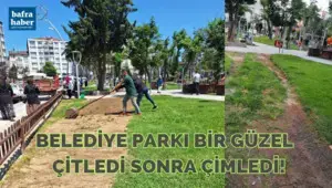 Belediye Parkı Bir Güzel Çitledi Sonra Çimledi!
