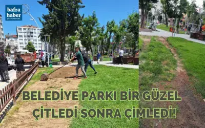 Belediye Parkı Bir Güzel Çitledi Sonra Çimledi!